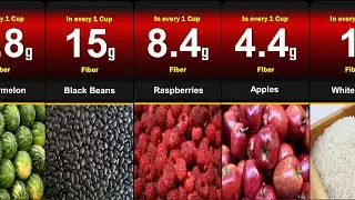 High Fiber Food That You Need To Know | Highest Fiber Foods
