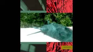 Lil Ugly Mane - Leonard's Lake (Extended Intro)