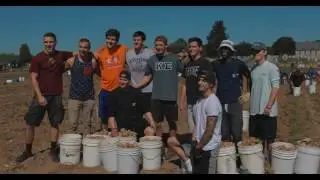 TPP Video