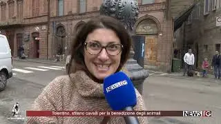 Tolentino, sfilano cavalli per la benedizione degli animali
