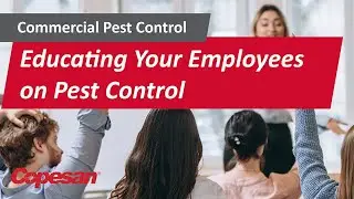 Educating Employees on Pest Control
