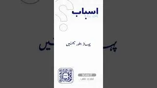 Mountains As Stakes #nouscomplex #shorts #islam #science #reflection #earth #rest #place #theory