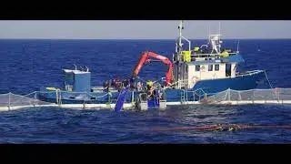 Tony Santic Bluefin Tuna Fishing