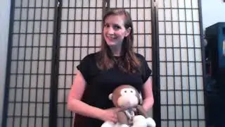Swaddle to Toddle Story Time: Pets!