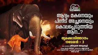 കേരളത്തിന്റെ ആനച്ചരിത്രത്തിലെ ഏറ്റവും വലിയ ദുരന്തഗാഥ...! | Sree 4 Elephants