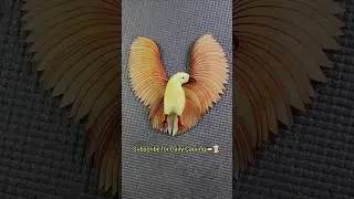 Amazing Apple Bird Carving 🍎🐦 | So Satisfying to Watch! #shorts