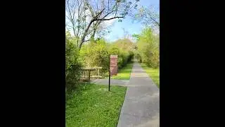 Cypress Creek - Bridgeland Forest - Texaplex
