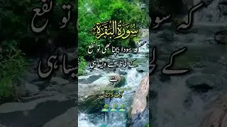 The Reality of Riba (Interest) &ndash; Surah Al-Baqarah Ayah 275 | Islamic Reminder#SurahAlBaqarah