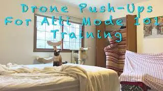 Learn To Fly in Atti Mode for Under $30 and Have a Blast!  😀