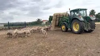 La de años y horas que tiene conmigo y sigue como nuevo, y ya ha dado la vuelta el marcador 🚜