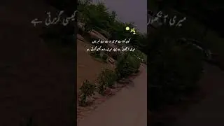 Agriculture university Toba Tek Singh 🎉❤️🥰🫠 #subscribe