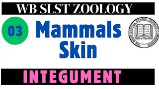 WB SSC SLST Zoology || Integuments & Its Derivatives || Part #03 || Mammals Skin || Hair || Nails