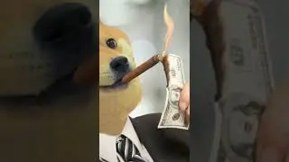 Top 10 Popular Meme Coins To Buy in 2023 (PART 1) #crypto