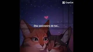 Des souvenirs de nous... (Pas inspir&eacute;) Feuille de Lune x Poil d'&Eacute;cureuil, la mort de Feuille de Lune