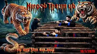 Thaum ub txoj kev hav zoov muaj dab muaj tsov txaus ntshai