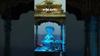 Karthika masam shiva archana #devotional #mahadev #shiva #bakthi #devotional #kali #vishnu #shorts