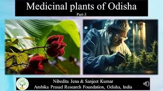 Medicinal Plants of Odisha, Part 3; #medicinalplant #odisha #conservation #herb #herbal, Dr. Sanjeet