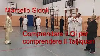 Comprendere il Qi per comprendere il Taijiquan: lezione a bologna, ottobre 2022