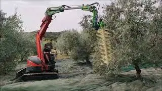 E&lambda;&alpha;&iota;&omicron;&rho;&alpha;&beta;&delta;&iota;&sigma;&tau;&iota;&kappa;ό &gamma;&iota;&alpha; &epsilon;&kappa;&sigma;&kappa;&alpha;&phi;&epsilon;ί&sigmaf; ASQUINI