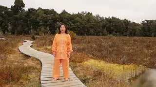 How to do Grasping Bird's Tail | Taichi Tutorial | Better Quality | The Healing Hut | Step by step