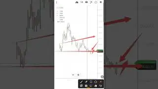 Clean Science share latest news | Clean Science Share price target | Clean Science share analysis
