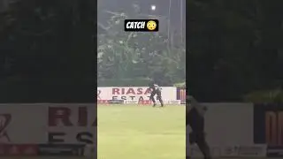 Catch of the Ni8🔥
