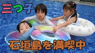 三つ子と石垣島家族旅行2日目！可愛いイルカさんとの出会い