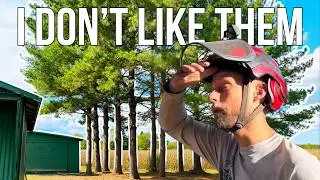 The Truth About Michigan&rsquo;s State Tree | White Pine Explained