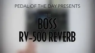 Boss // RV-500 Reverb (Stereo Demo)
