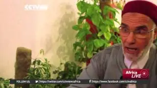 Tripoli cafes offer Libyans a sense of normalcy