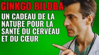 Explorer le Ginkgo Biloba : le don de la nature pour la sant&eacute; du cerveau et du c&oelig;ur