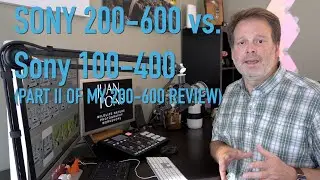 Sony 200-600 vs. 100-400 comparison