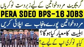 SDEO PERA Jobs 2025 | New PERA Jobs |How To Apply| PPSC Jobs 2025
