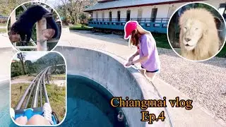 Chiangmai vlog ep.4🐘 | พาเที่ยวที่นำ้พุดอยสะเก็ด, Chiangmai night safari,  Pongyang Jungle Coaster