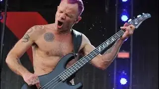 【ベース】王者の風格！！世界のベーシストたち♪【thebassman】
