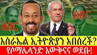 እስራኤል ለሶማሌላንድ እውቅና ሰጠች | ለኢትዮጵያ ምን ማለት ነው? ማን ይጠቀማል? ማንስ ተጎዳ | ዜና በአማርኛ |  Addis Business
