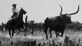 The Trail That Changed Texas