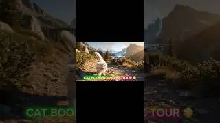 CAT USES A DRONE AS A TOUR GUIDE