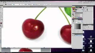 Gradient Mesh
