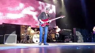 Deep purple 