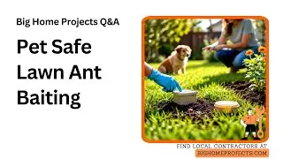 Pet-Safe Baiting Playzone Method For Ants