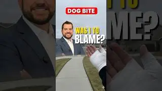 Dog Bite Case Indianapolis: What Is Comparative Fault in Indiana?