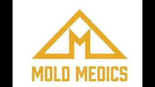 Why Invest in a Mold Medics Franchise? | Low-Cost Opportunity in a Growing Industry