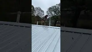 Metal Roofers In My Area | Baton Rouge LA #roofing #roofingcontractor #batonrouge #roofrepair