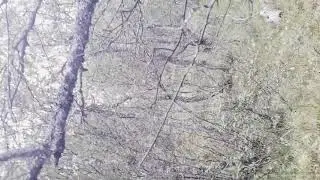 ми в паходе