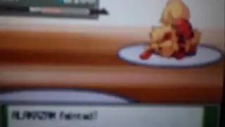 Pokemon Battles-R-DOG Vs. nintendodspsp (No Narration)