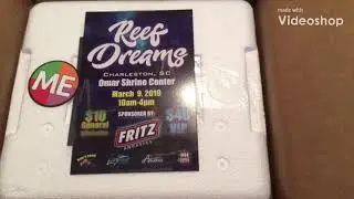My first online coral live sale buy from fraghouse corals