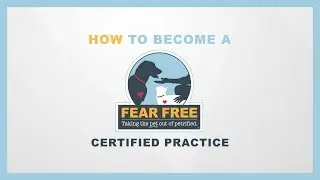 Pathway to Practice Certification: How to Become a Fear Free Certified Practice