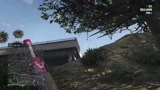GTA 5 Falling Buzzard Snipe