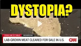 Lab Grown Meat: Climate Friendly, Cruelty Free Solution or Diversion?
